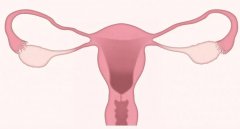 子宫内膜的厚度多少移植成功率最高？这个问题一定要注意！