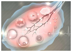 试管促排阶段，理想取卵数量的标准与考量因素