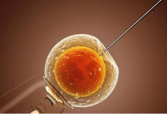 第二代试管技术，孕育新生命的科技曙光