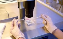 什么是试管技术?试管技术怎么样了?