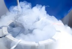 鲜胚与冻胚的区别是什么?鲜胚和冻胚优劣是什么?