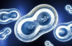 什么是试管着床失败?为什么会出现试管着床失败?