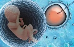 试管需要花费多长时间?一个月够吗?