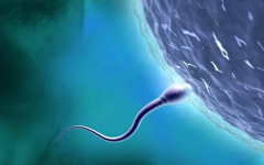 男士参与试管全流程解析：步骤详解与操作注意事项