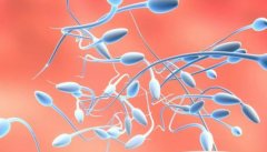 收藏！一文了解精子畸形率与男性不育的关系