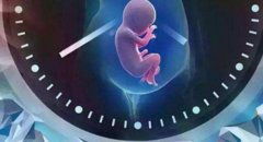 泰国试管技术安全性如何？泰国试管成功日记分享