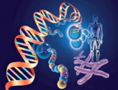 试管初战告捷，关注术后身体调养与注意事项！