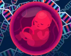 做试管去私立试管医院贵不贵？与公立试管医院相比哪个更划算？