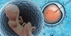 试管费用包含哪些方面？精子库取精的费用如何计算？