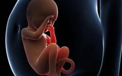 郑州三代试管多少钱?影响三代试管费用的因素有哪些?