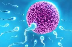 精子DNA完整性如何提高?如何检测精子DNA完整性?