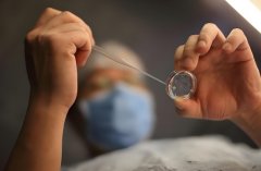 试管婴儿卵泡需要多少个?取出的卵子数量与成功率有关系吗?