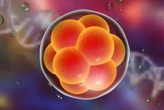 做试管有推荐的医院吗?选美国还是泰国?