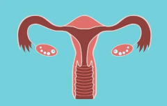 宫腔环境不佳，试管手术成功率会否受影响？专家权威解读！