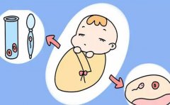 什么因素影响着试管成功率？如何提高试管成功率？