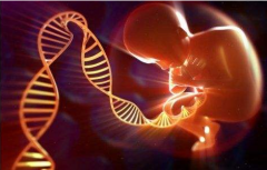 详解二代试管，成功几率高吗？