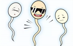 男性不育应该做什么检查，一定要进行科学诊治！