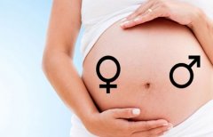 看B超数据可以知道怀上的是男是女吗？