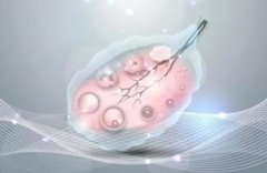 如何提高试管的成功率?试管几次可以成功?