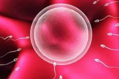 第二代试管与第一代相比有哪些改进?第三代试管有哪些新技术应用?