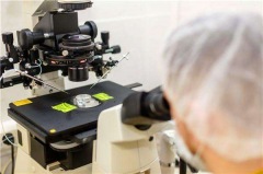 试管技术一代与二代的差异解析：不同受众群体与适用场景