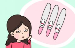 雌激素如何影响排卵？不足的雌激素会导致什么问题？