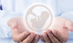 上海试管医院大全，附试管成功率排名前十整理