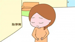 试管妊娠9周遭遇多胎停育，胚胎发育异常风险凸显，亟需关注与重视