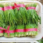 试管后为何慎食韭菜：健康饮食新视角！