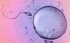 试管移植鲜胚7天见红：解读信号，了解背后意义与应对措施！