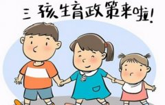 什么样的家庭可以享受安徽三胎补助？