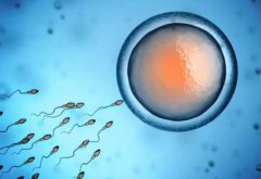 收藏！一文了解重庆七星岗地区试管情况