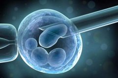 揭秘！试管养囊成功背后的“秘密武器”