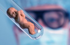 第二代试管成功率有多高？（含价格和注意事项）