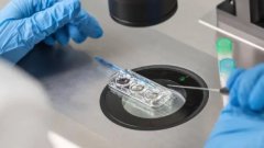 “第三代试管”超全干货！你想知道的都在这里！