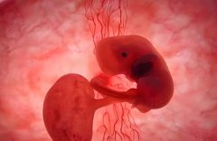 三代试管包生'男'孩可靠吗?三代试管包生'男'孩违法吗?