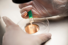 染色体16p13.11区域0.78mb重复或影响胎儿发育？三代试管技术成为优选方案