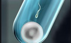 打蛋白帮助着床的说法靠谱吗？打蛋白是否适用于所有人？