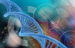 染色体异常做第三代试管的成功率有多大？