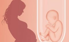 在试管期间梦到生女孩？带你分析这可能意味着什么