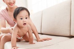 2024试管医保新政：全面解析报销范围与费用明细！