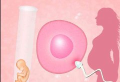 女性7号染色体为什么缺失？没有7号染色体能做三代试管吗？
