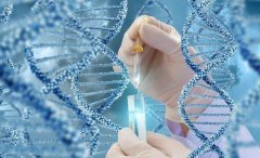 鲜胚移植失败是怎么回事?鲜胚移植失败该怎么办?