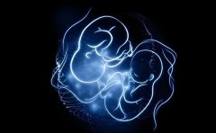 卵前三天同房会怀孕吗?卵前三天同房需要注意什么?