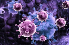HIV患者为何不建议做试管婴儿？遗传风险非唯一考量因素