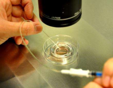 试管新纪元：卵泡共享方案费用全解析，开启生育新选择！