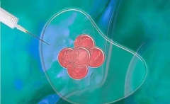 试管为什么要打免疫球蛋白？好处有很多