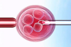 一文读懂什么是非降调节方案！