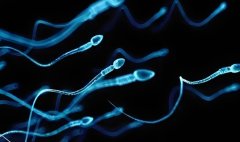 试管有什么优惠?哈尔滨试管是什么政策?