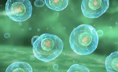 基础卵泡数量多少合适?取卵方案是怎样的?